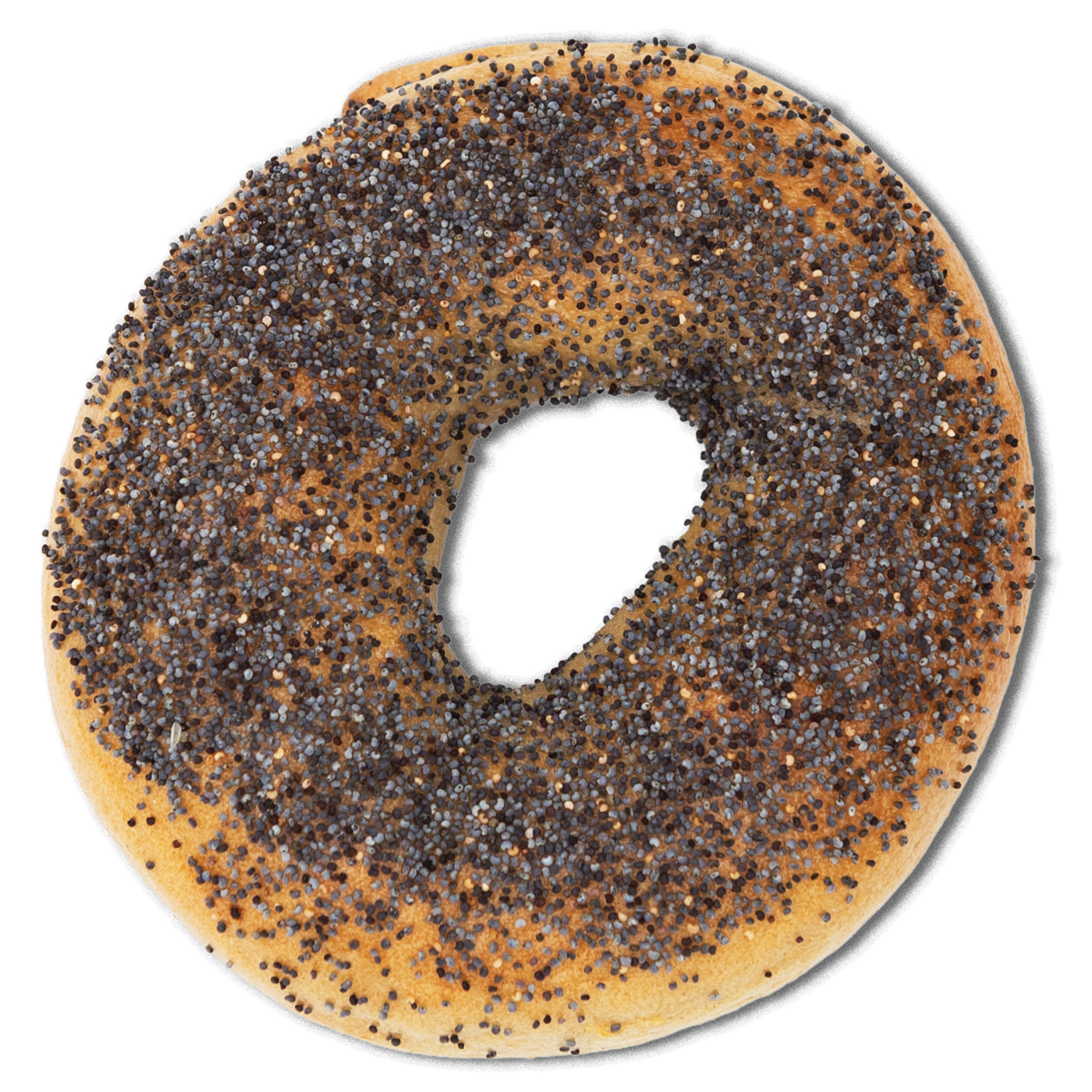 Poppy seed bagel